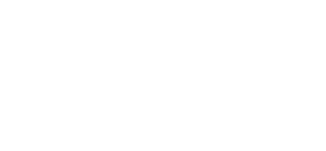 메트라이프는 어떤 회사인가요?